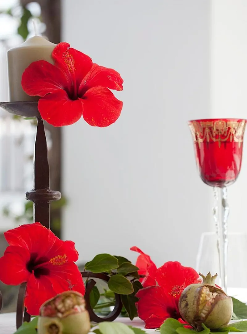 Quartara Boutique Hotel Panarea 4*,